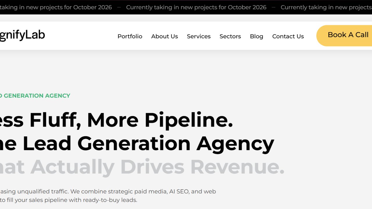 Website preview: MagnifyLab - Digital Marketing Agency