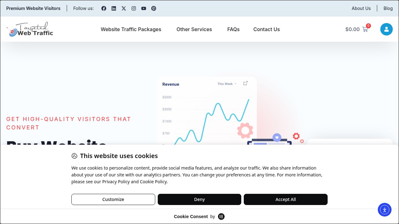 Website preview: Buy Website Traffic That Converts
