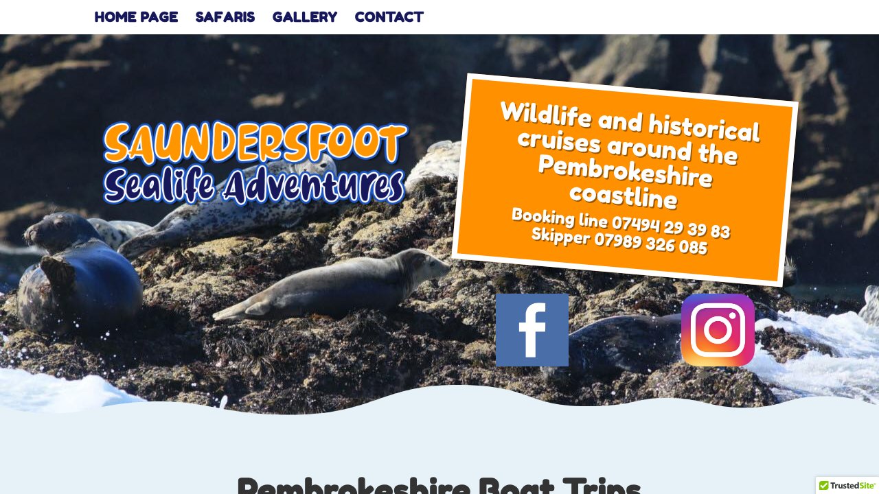 Website preview: Saundersfoot Boat Trips Pembrokeshire