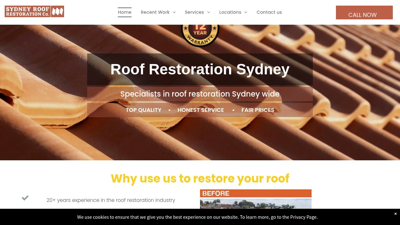 Website preview: Sydney Roof Restoration