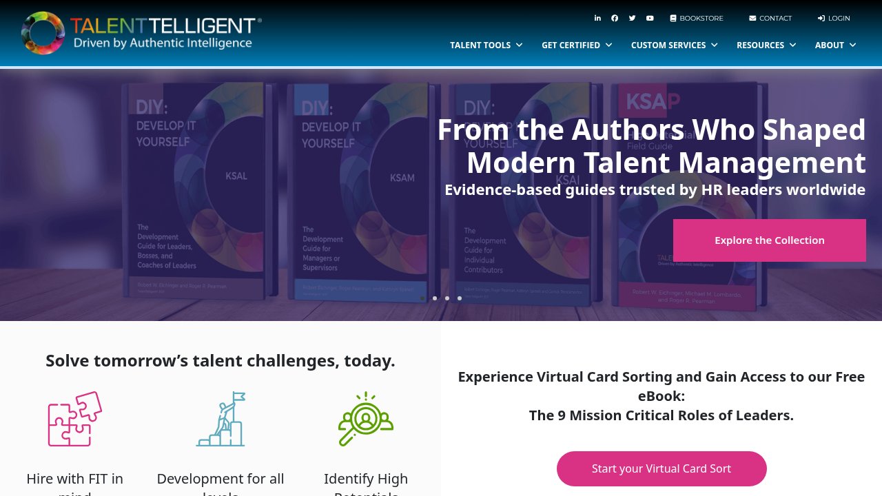 Website preview: TeamTelligent, LLC